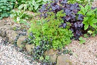 Stone edged spring bed mulched with bark chippings and planted with Corydalis, Heuchera 'Licorice', Trillium, Viola, Erythronium and Helleborus 