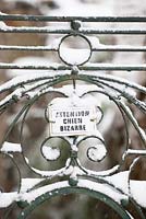 Attention Chien bizarre sign on gate in snow