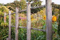 Decorative fence and sunflowers - Parham, West Sussex