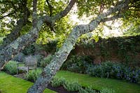 Wooden bench in formal walled Herb Garden with mature trees - Town Place
