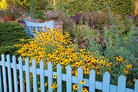 Painted fence and gate complementing autumn border including Rudbeckia fulgida deamii Old Court Nurseries - The Picton Garden, Colwall