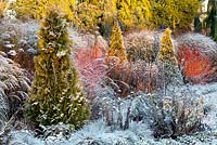 The Summer Garden in December. Bressingham Gardens, Norfolk, UK. Designed by Adrian Bloom.