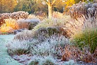 The Summer Garden in November, Winter. Bressingham Gardens, Norfolk, UK. Designed by Adrian Bloom.
