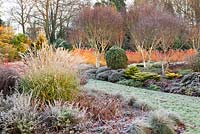 The Winter Garden in November, Winter. Bressingham Gardens, Norfolk, UK. Designed by Adrian Bloom.