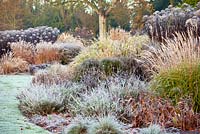The Summer Garden in November, Winter. Bressingham Gardens, Norfolk, UK. Designed by Adrian Bloom.