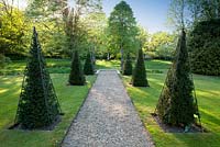 Clipped Yew obelisks and path at Wretham Lodge, Norfolk