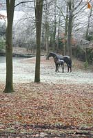 Mare and foal  'found object' sculptures by Harriet Mead at the edge of the Fagus - Beech wood by the lake with frost in December