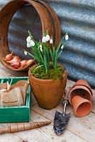 Spring time potting bench with pot of snowdrops