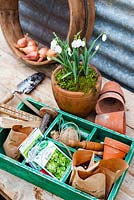 Spring time potting bench with pot of snowdrops
