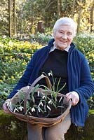 The owner, Olive Mason, with a trug of Galanthus - Dial Park