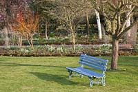 Lawn with wooden bench and bed of Galanthus - Dial Park