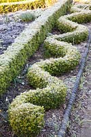 Clipped Buxus hedges