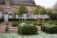 Miniature Topiary Garden with Photinia trees in the frost - The Old Rectory, Surrey