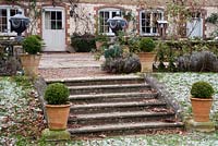 Stone steps and Buxus in urns leading up to terraced patio in winter - The Old Rectory, Surrey