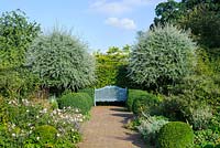 Blue garden seat in front of beech hedge with box topiary and pair of Pyrus salicilfolia 'Pendula' trees - Wyken Hall, Suffolk