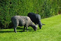 Black sheep sculptures on lawn - Wyken Hall, Suffolk