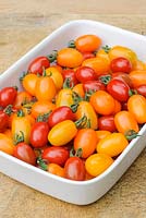 Mini plum tomatoes mixed - 'Katiebell', 'Orange Baby' and 'Luciebell'