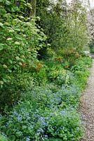 Border beside gravel drive with Fritillaria imperialis, Erythroniums, Viburnum lantana and naturalised Brunnera macrophylla - Glen Chantry, Essex