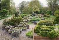 Limesatone rock garden in spring with collection of stone sinks and wide collection of alpine plants - Glen Chantry, Essex