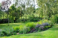 View across herbaceous border to lawn with birch trees. Water meadow beyond garden boundary. Geraniums, Astrantias, Euphorbias, foxgloves, Alliums and Heuchera