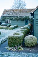 View to house with box topiary and dwarf hedges on frosty morning in December - The Mill House, Little Sampford, Essex
