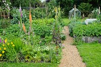Gravel path through mixed ornamental and vegetable garden. Viola cornuta, Eremurus x isabellinus 'Cleopatra', Verbascums and foxgloves leading to potatoes and artichokes. Fruit and small greenhouse in background