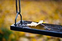 Garden swing with a yellowed Norwegian maple leaves