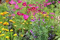 Hampton Court Flower Show. The Loros Hospice Garden, colourful annuals in garden border
