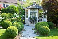 A flagstone paved garden path edged with box spheres leads to a white painted wooden garden pavilion with window boxes. Plants are Acer palmatum 'Atropurpureum', Buxus, Hydrangea arborescens 'Annabell', Petunia Surfinia and Prunus laurocerasus