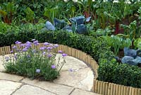 Vegetable border with decorative edging of Buxus and short lengths of bamboo cane together with feature planting of Scabious on paving  
