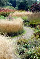 Path through swathes of early Autumn grasses in the Millenium Garden at Pensthorpe Nature Reserve, Norfolk
