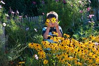 Boy picking Helenium flowers