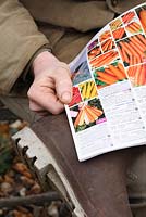 Male gardener selecting carrot varieties in a seed catalogue