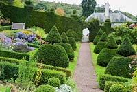 Sloping walled garden features topiary inspired by that at Lytes Carey in Somerset, with beds and path laid out to Voysey's original plan. Box edged beds are planted with Asters, golden rod and red Dahlias - Perrycroft, Upper Colwall, Herefordshire, UK