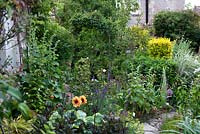 Cottage garden with foxgloves and Dahlia