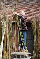 Weaver Dominic Parrette making a woven willow plant support - Sussex Willow