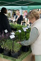 Woman selecting herbs at market stall - Orford, Suffolk