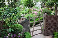 Small cottage garden seen through rustic wooden gate with old stone pillar and woven willow fence.  Buxus circle with decorative metal obelisk. Plants include Rosa 'Ballerina', Ligustrum standard trees, low Buxus hedge and Apple tree - Garden Neighbours