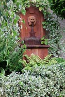 Rusty metal wall fountain with lion's head spout, with Cornus and Actinidia chinensis trained around it, low  Euonymus hedge, Ferns and weeping Betula - Silver Birch tree - Garden Neighbours 
 