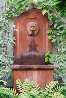 Rusty metal wall fountain with lion's head spout, with Cornus and Actinidia chinensis trained around it, underplanted with ferns in shady corner - Garden Neighbours 
 
