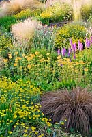 Naturalistic planting of Anthemis tinctoria 'dwarf form', Primula x beesiana, Dactylorhiza x grandis 'Blackthorn hybrid' and Carex comans with Stipa tenuissima at the back and Lychnis coronaria - Wildside garden
 