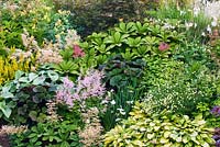 Astilbe 'Ceres', Rodgersia 'Buckland', Hosta 'Gold Standard' - Wildside garden 
 