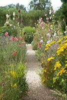 Holyhocks in the herb garden at Loseley Park