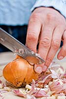 Making home made pesticide - Chopping one onion
