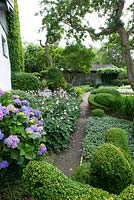 Path leading through country garden. Plants include Malus - Apple and Prunus cerasifera trees, Hydrangea, Buxus and Taxus topiary, Acaena, Anemone and Fern - Ulla Molin
 