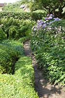 Terracotta brick path. Border edged with ceramic tiles.   Hydrangea, Buxus and Taxus balls and hedges, Ferns and Acaena - Ulla Molin