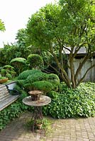 Wooden bench on small brick patio with Buxus topiary, Iris,  Malus - Apple tree and Antennaria - Ulla Molin 