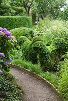 Border of Hydrangea, Buxus and Taxus topiary, Anemone and Acaena edged with ceramic tiles - Ulla Molin