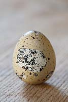 A quail egg on a wooden surface