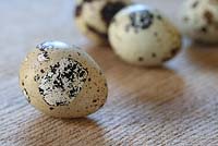 Quail eggs on a wooden surface